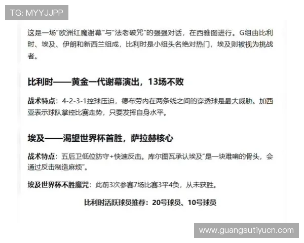 世界杯比利时对阵埃及比赛球票价格最新信息及购买指南